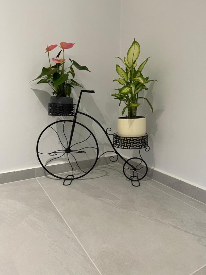 The House Of Johnkou Apartament